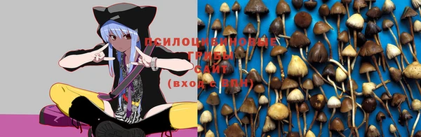 соль ск Алексин