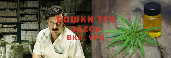 прущий лед Алзамай